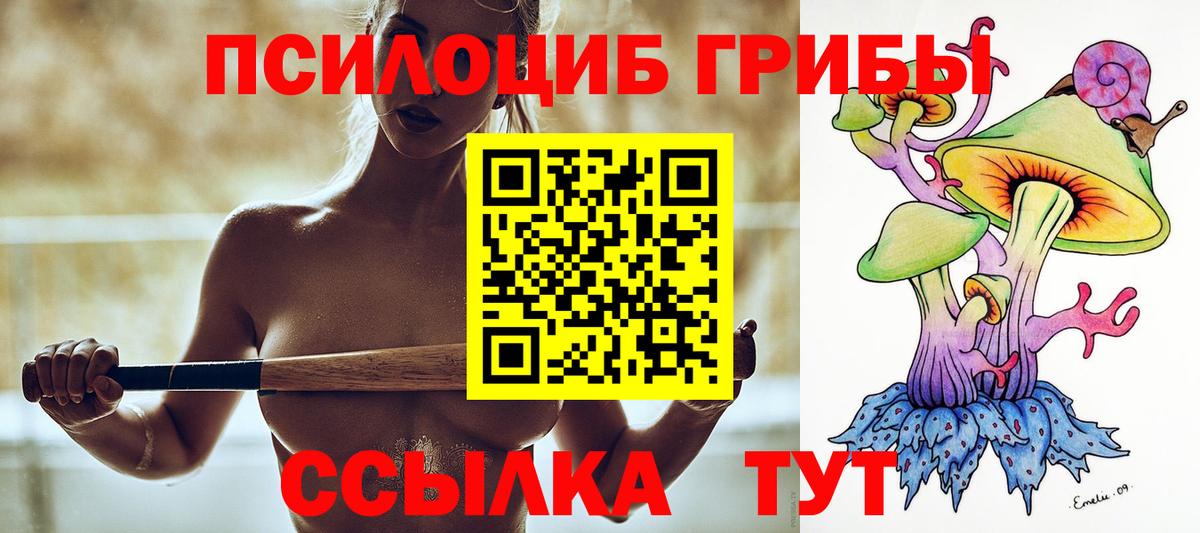 Псилоцибиновые грибы MAGIC MUSHROOMS  Псилоцибиновые грибы мухоморы  Краснодар  Вход с VPN 